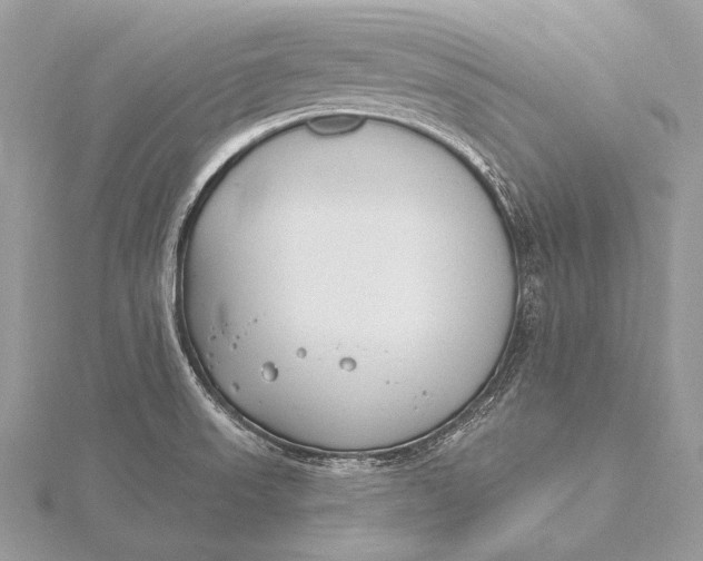 X0000115831523200912041637