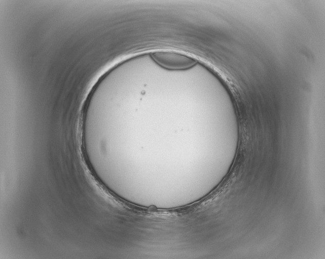 X0000115831526200912041637