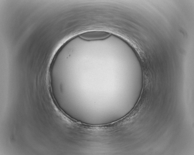 X0000115831527200912041637