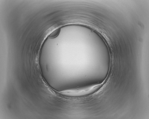 X0000115831529200912041637