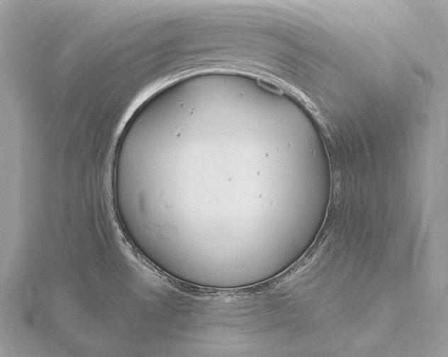 X0000115831530200912041637