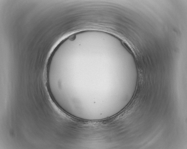 X0000115831531200912041637