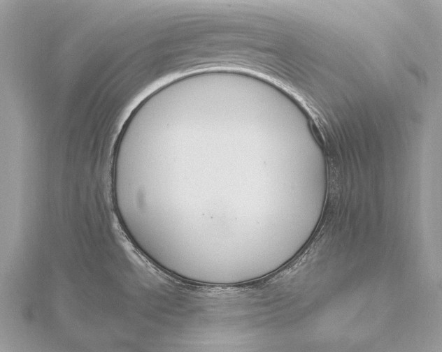 X0000115831534200912041637