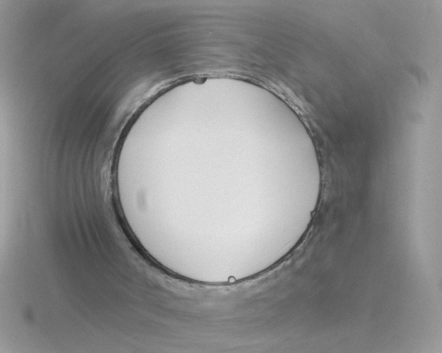 X0000115830002200912111322