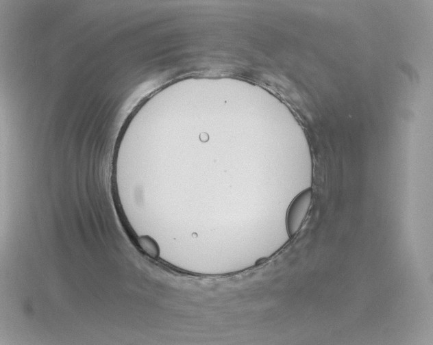 X0000115830003200912111322