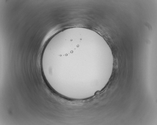 X0000115830004200912111322