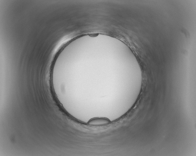 X0000115830006200912111322