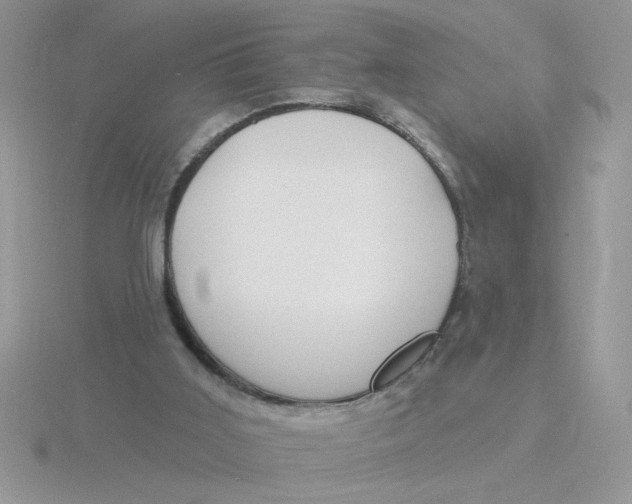 X0000115830011200912111322