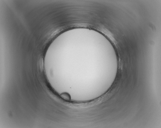 X0000115830013200912111322