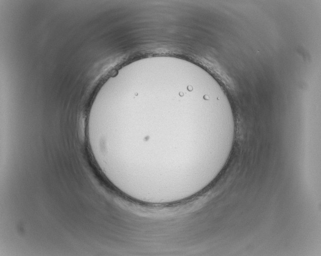 X0000115830014200912111322