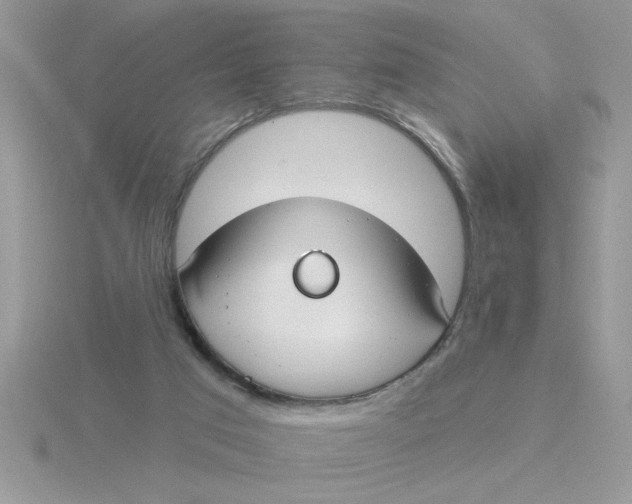 X0000115830017200912111321