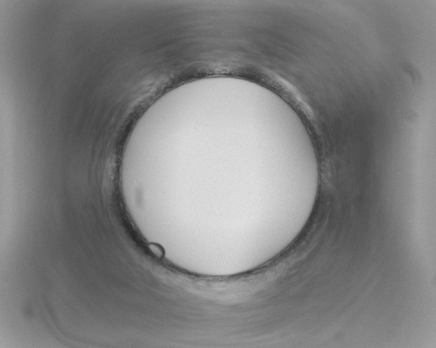 X0000115830018200912111321