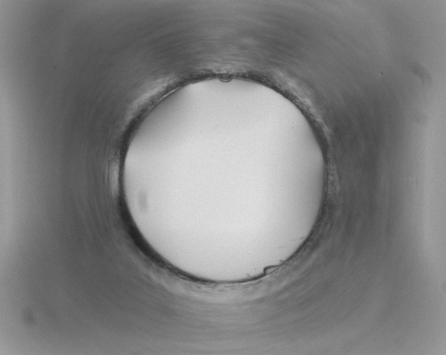 X0000115830019200912111321