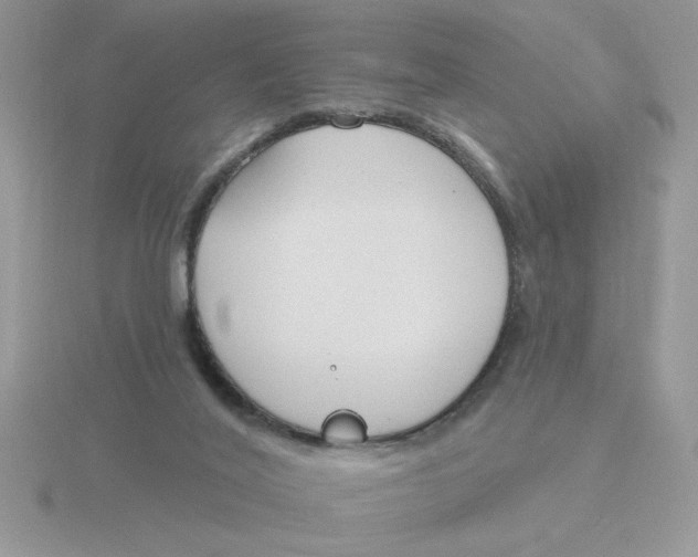 X0000115830020200912111321