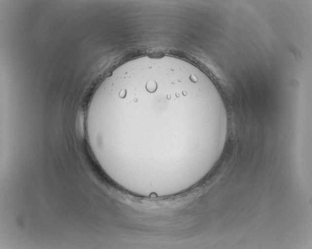 X0000115830022200912111321