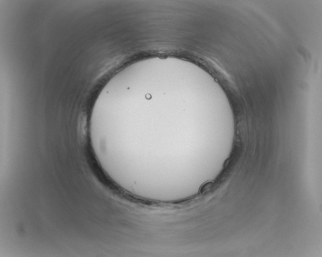 X0000115830024200912111321