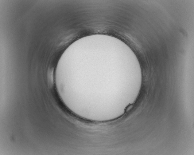 X0000115830028200912111321