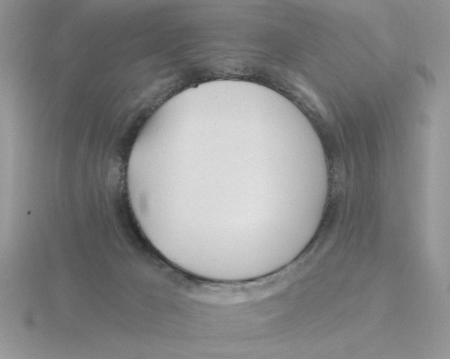 X0000115830029200912111321