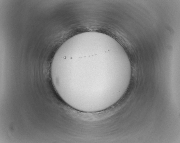 X0000115830030200912111321