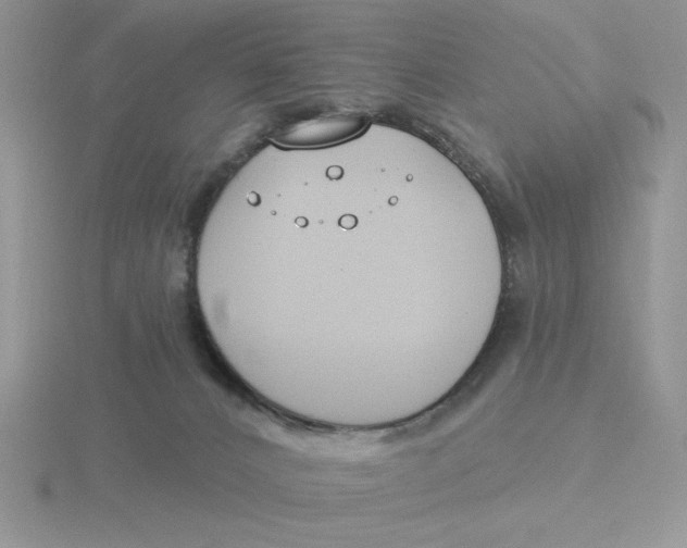 X0000115830032200912111321