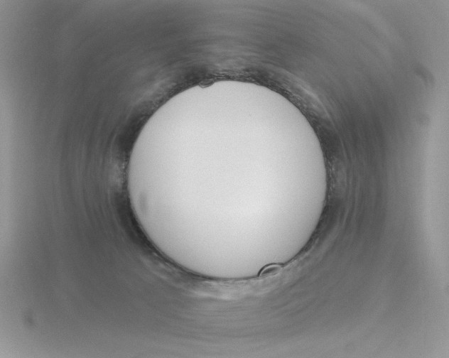 X0000115830033200912111321