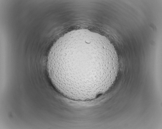 X0000115830034200912111321