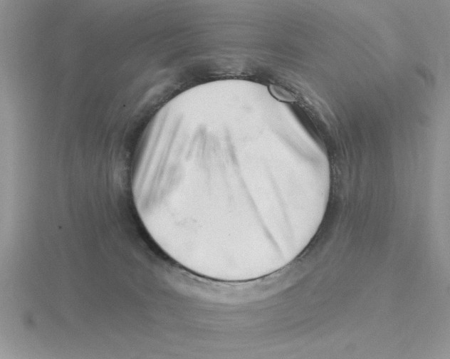 X0000115830035200912111321