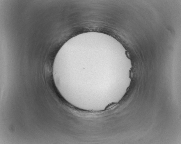 X0000115830040200912111321