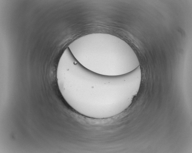 X0000115830043200912111321