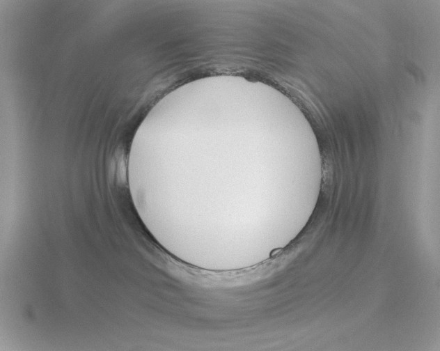 X0000115830046200912111321