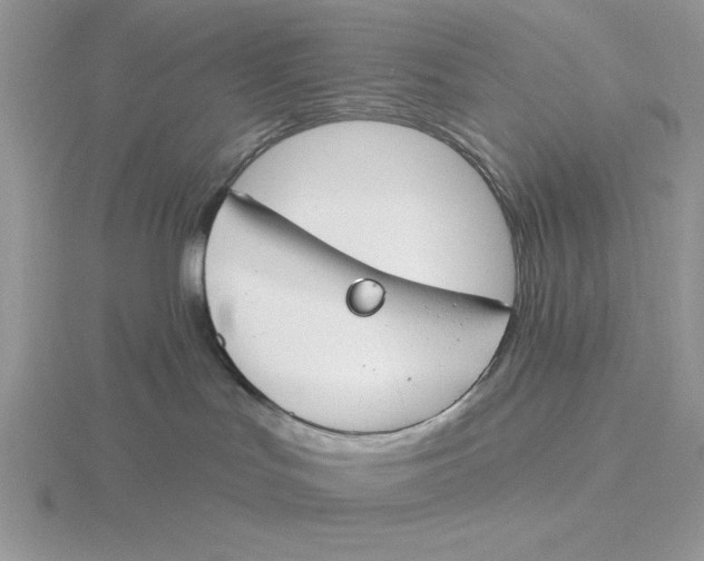 X0000115830047200912111321