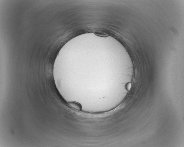 X0000115830048200912111321