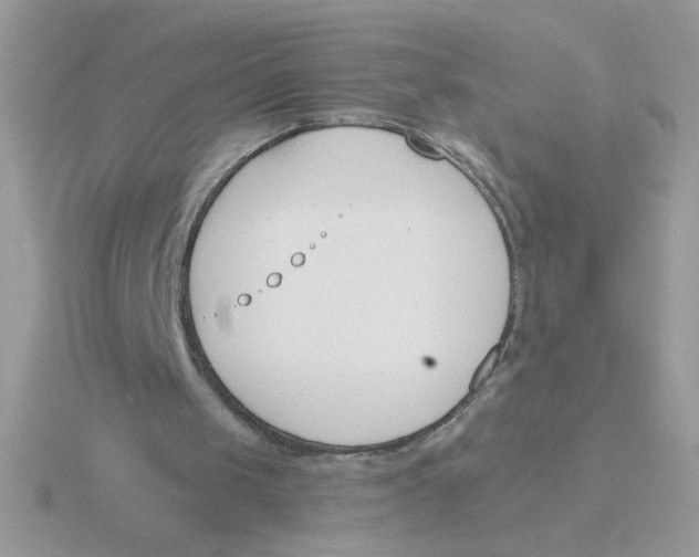 X0000115830049200912111320