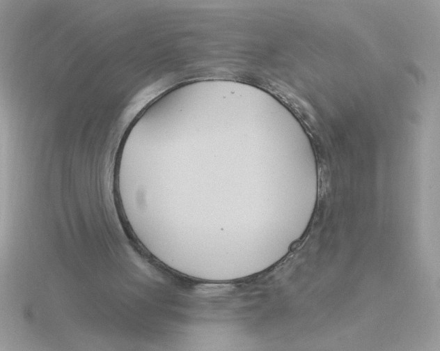 X0000115830051200912111320