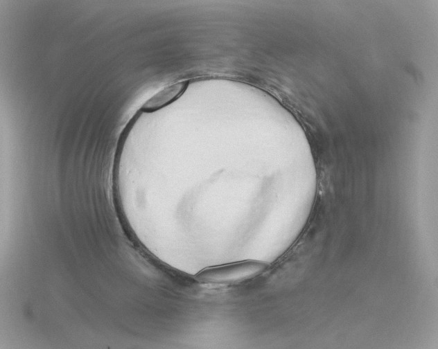 X0000115830052200912111321