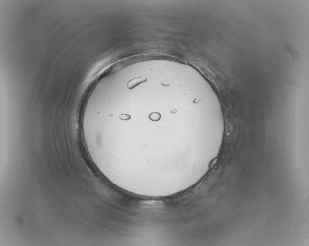 X0000115830053200912111321