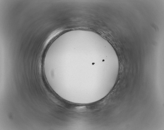 X0000115830054200912111321