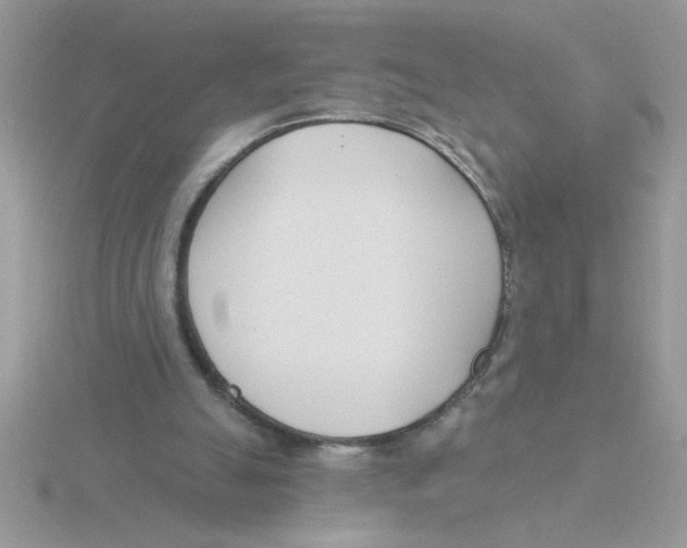 X0000115830055200912111321