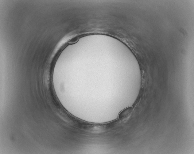 X0000115830056200912111321