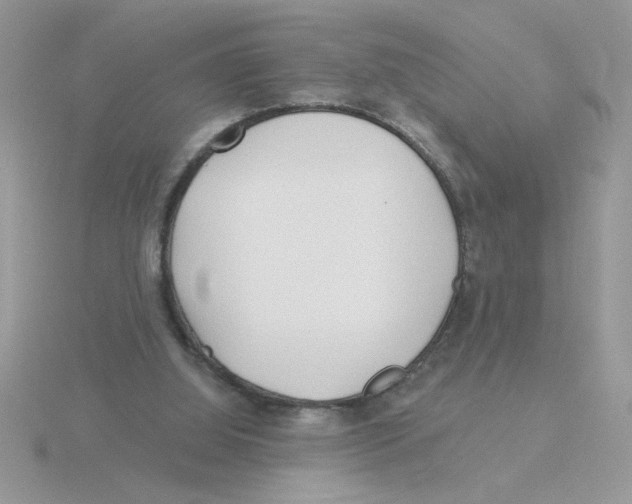 X0000115830060200912111321