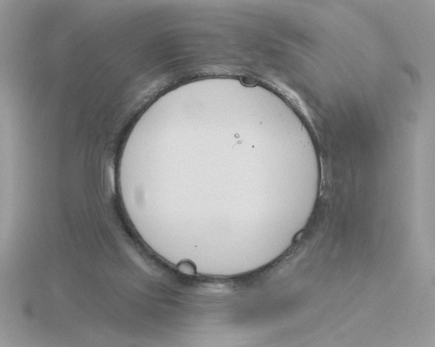 X0000115830061200912111321