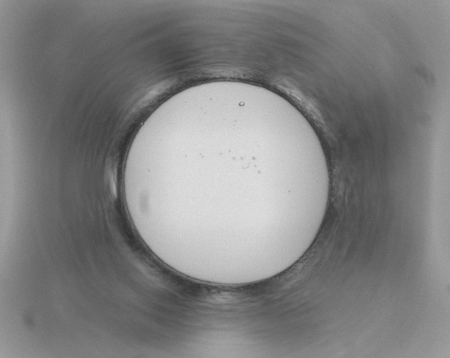 X0000115830062200912111321