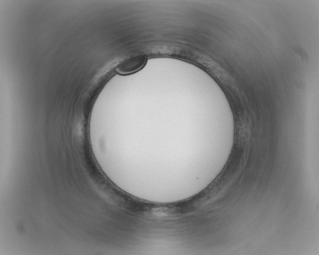 X0000115830064200912111321