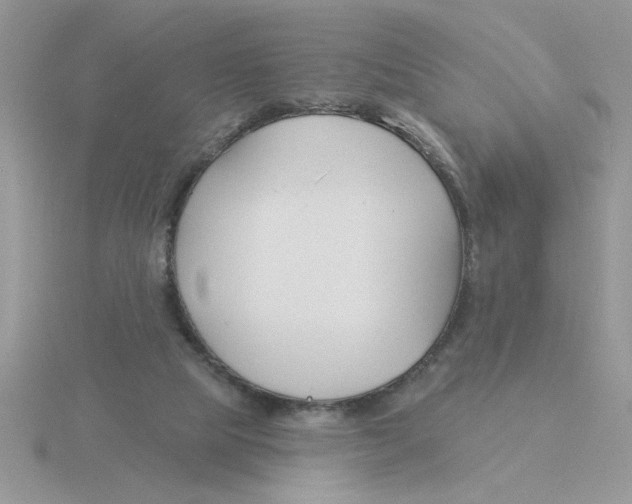 X0000115830065200912111321