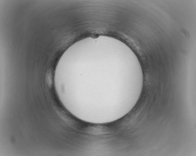 X0000115830069200912111321