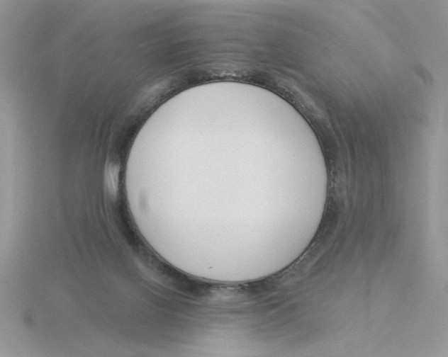 X0000115830070200912111321