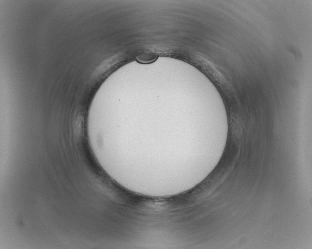 X0000115830071200912111321