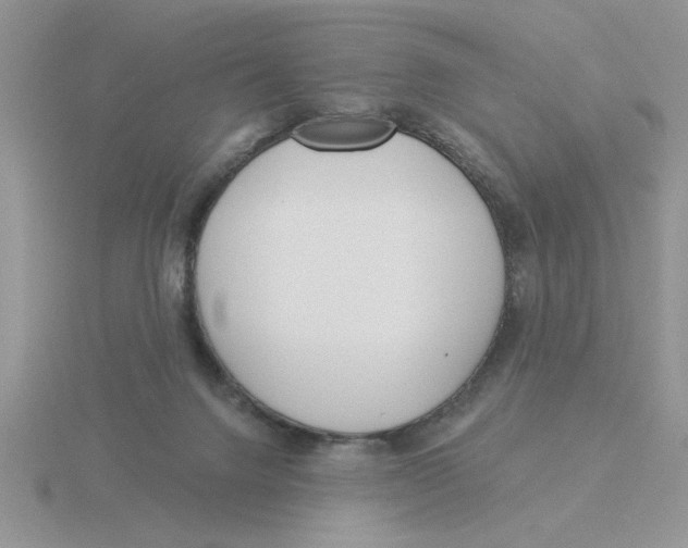 X0000115830072200912111321