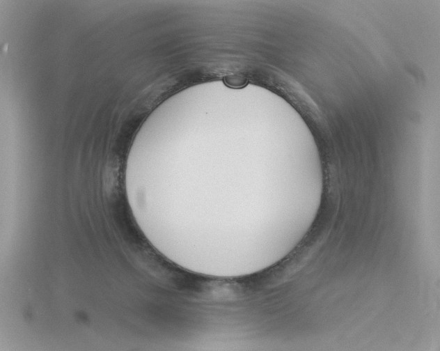 X0000115830073200912111321