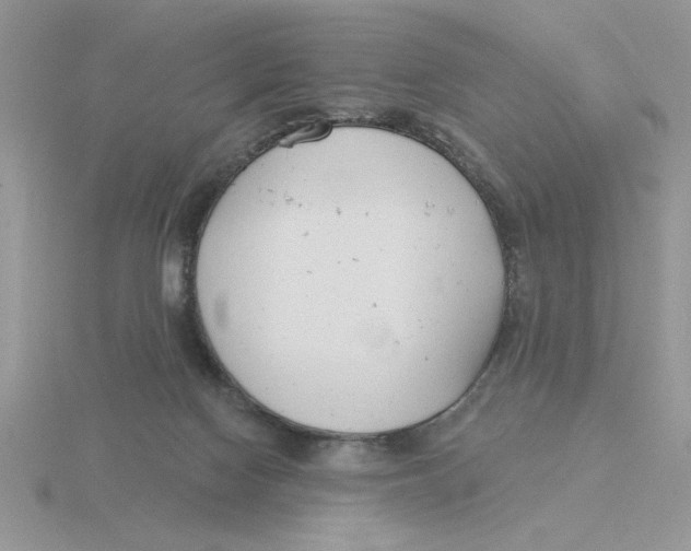 X0000115830074200912111321